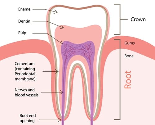 teeth whitening enamel